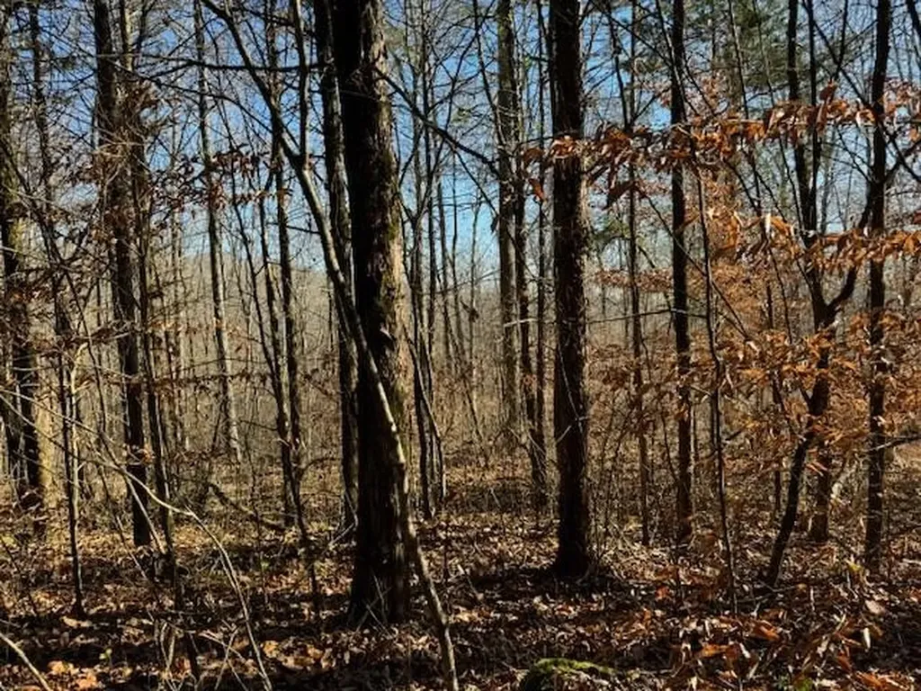 231.8 Ac New Hope Road Celina TN 38551