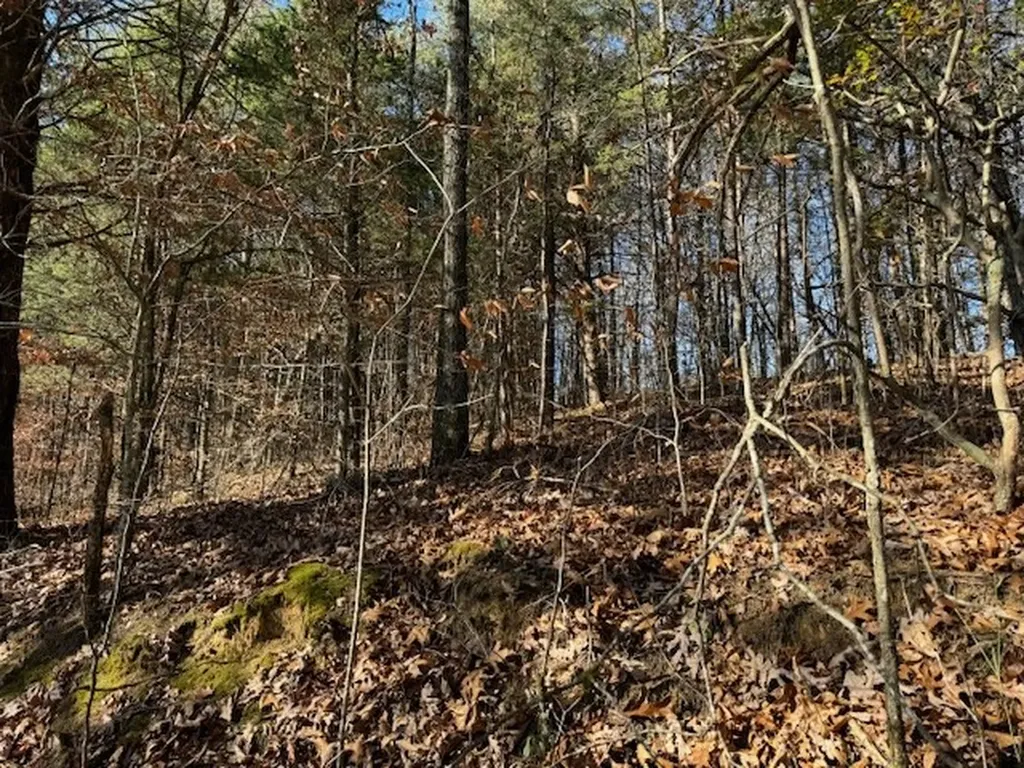 231.8 Ac New Hope Road Celina TN 38551
