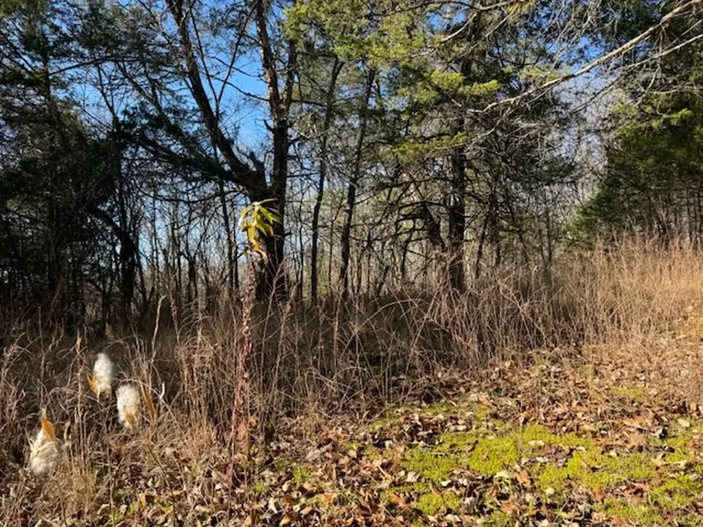 231.8 Ac New Hope Road Celina TN 38551