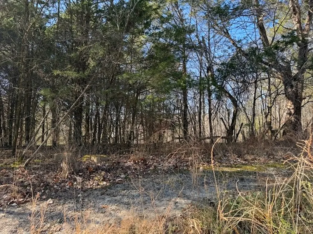 231.8 Ac New Hope Road Celina TN 38551