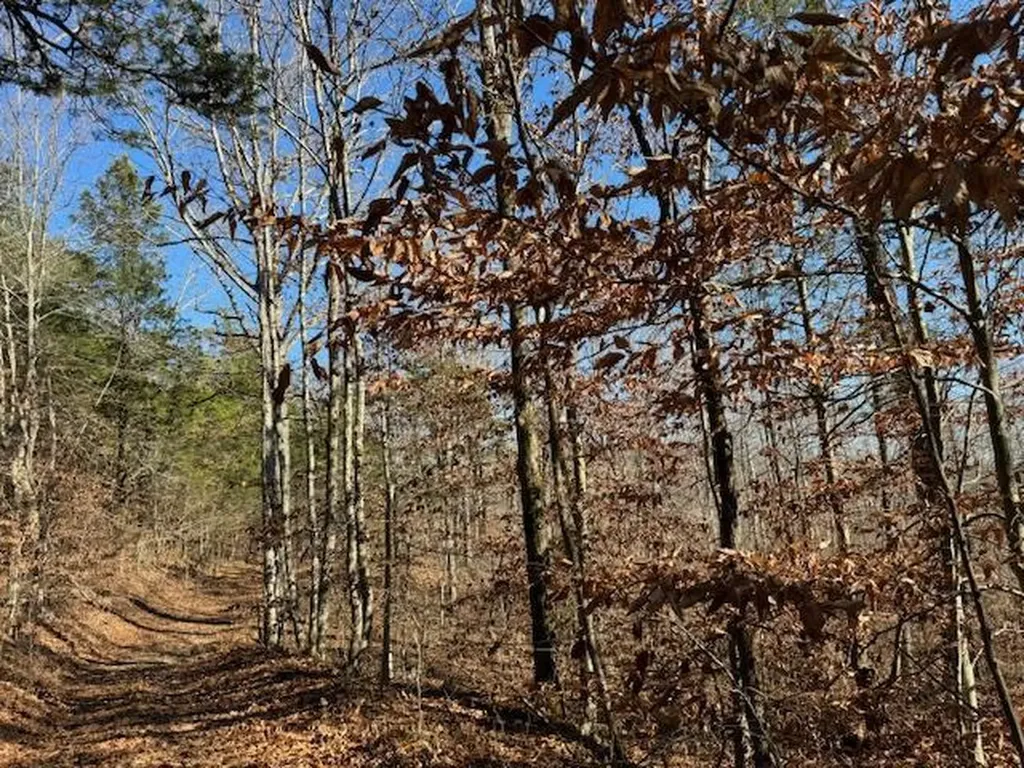 231.8 Ac New Hope Road Celina TN 38551
