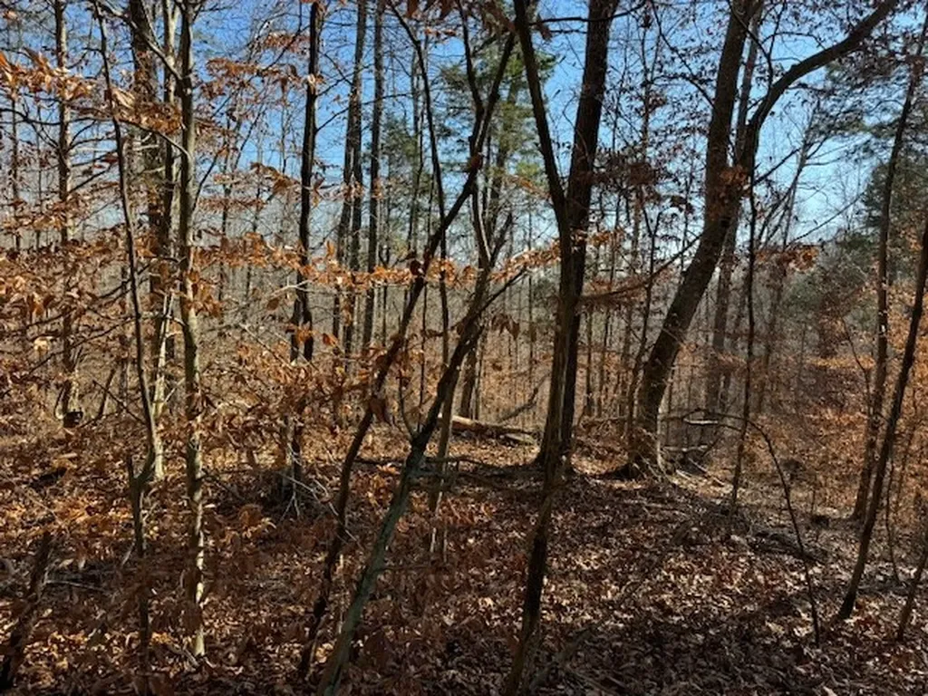 231.8 Ac New Hope Road Celina TN 38551