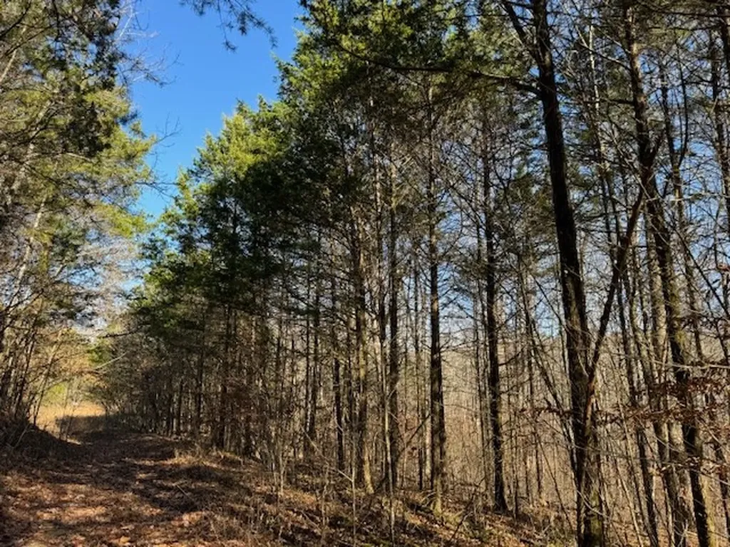 231.8 Ac New Hope Road Celina TN 38551