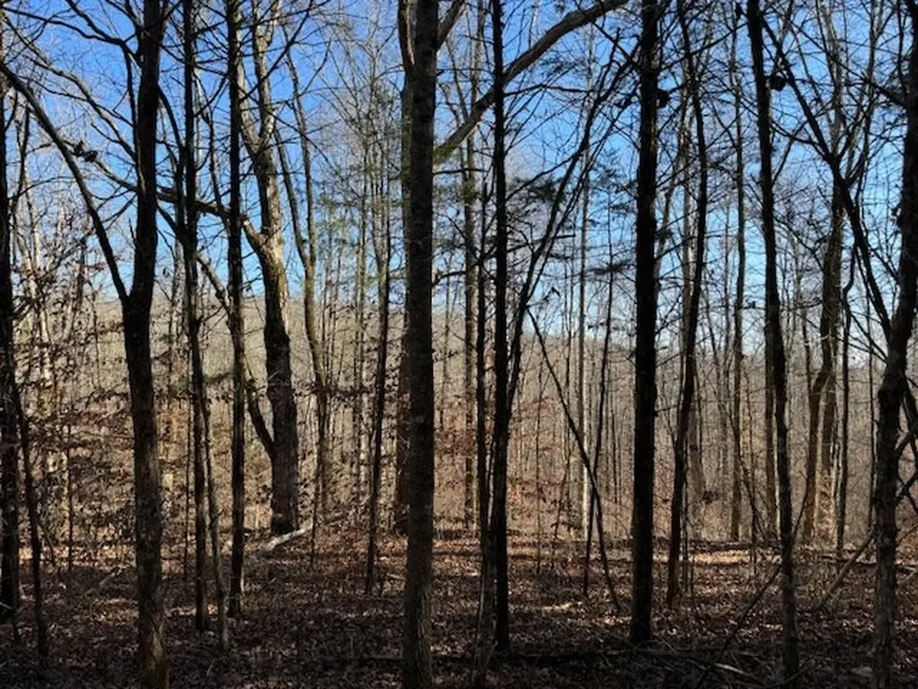 231.8 Ac New Hope Road Celina TN 38551