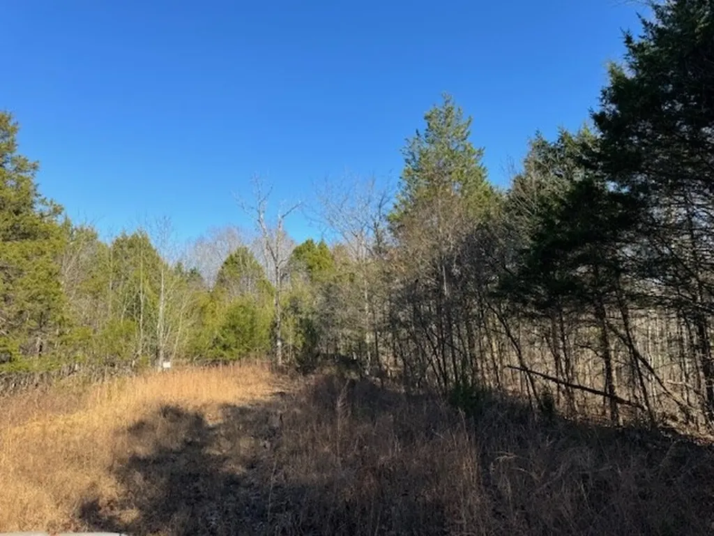 231.8 Ac New Hope Road Celina TN 38551
