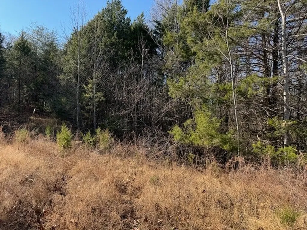 231.8 Ac New Hope Road Celina TN 38551