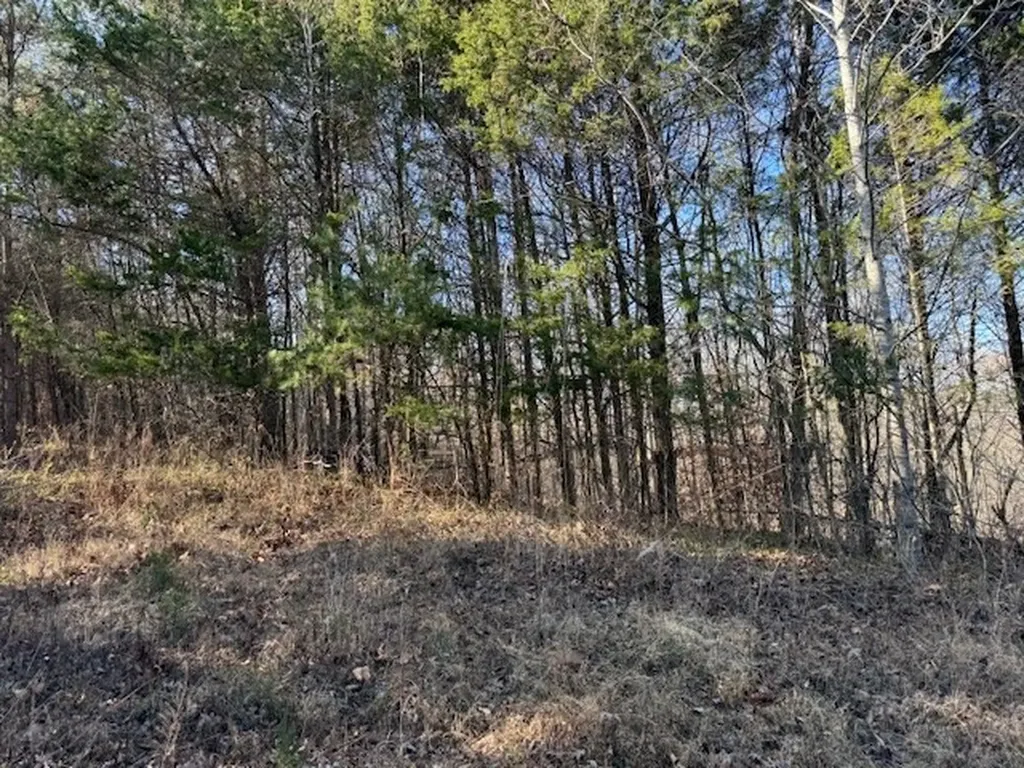 231.8 Ac New Hope Road Celina TN 38551