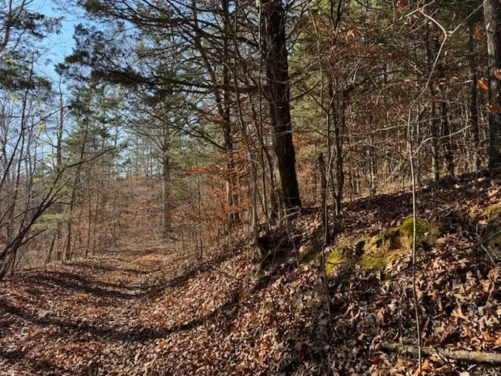 231.8 Ac New Hope Road Celina TN 38551