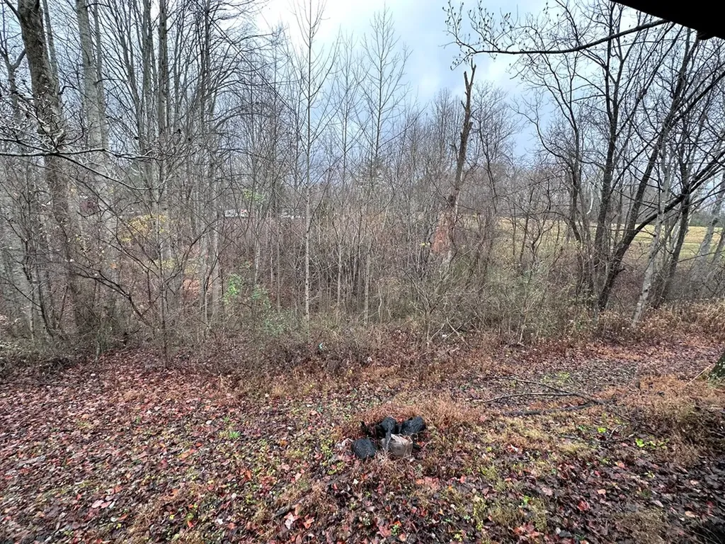 6430 Sulfur Ridge Road Bloomington Springs TN 38545