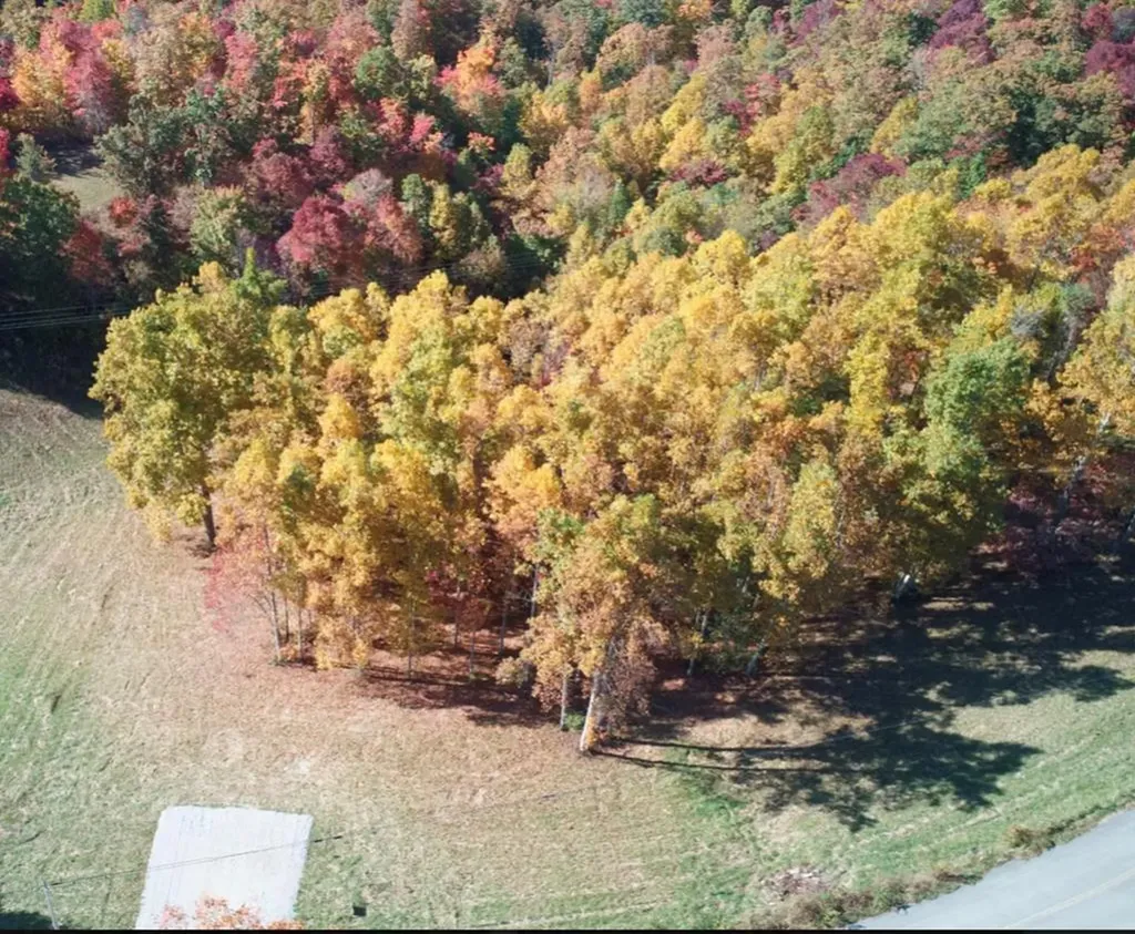 00 Double Top Road Jamestown TN 38556