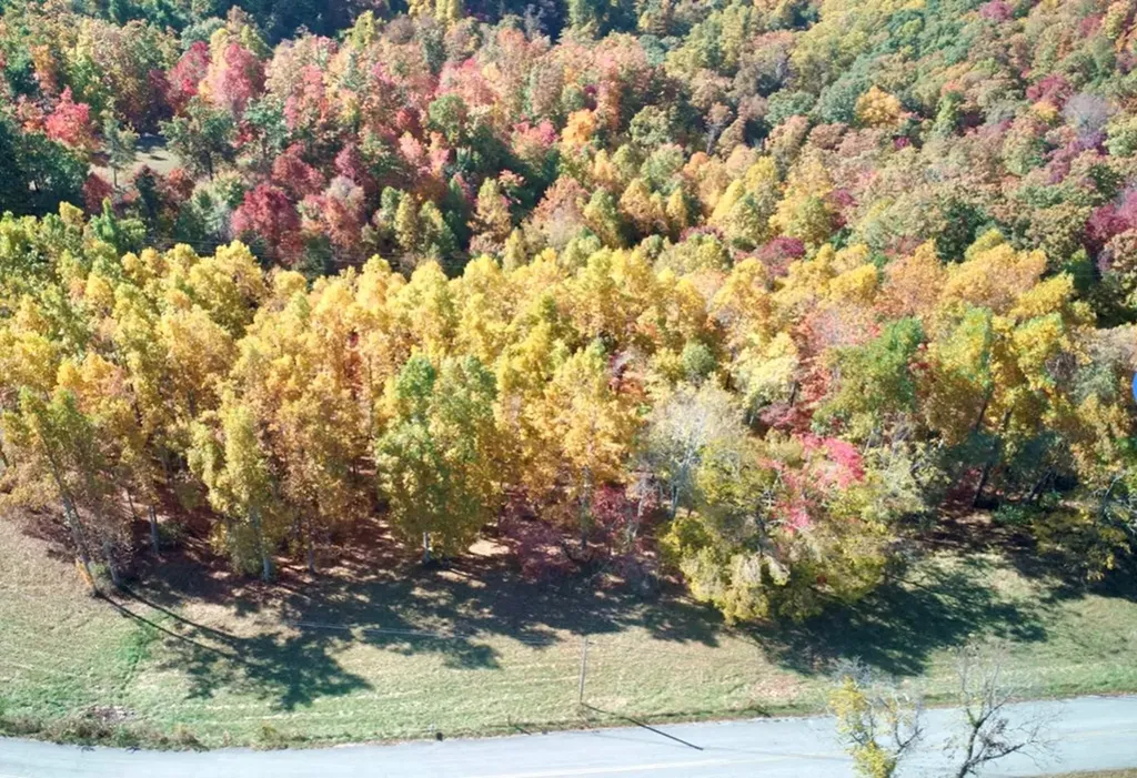 00 Double Top Road Jamestown TN 38556