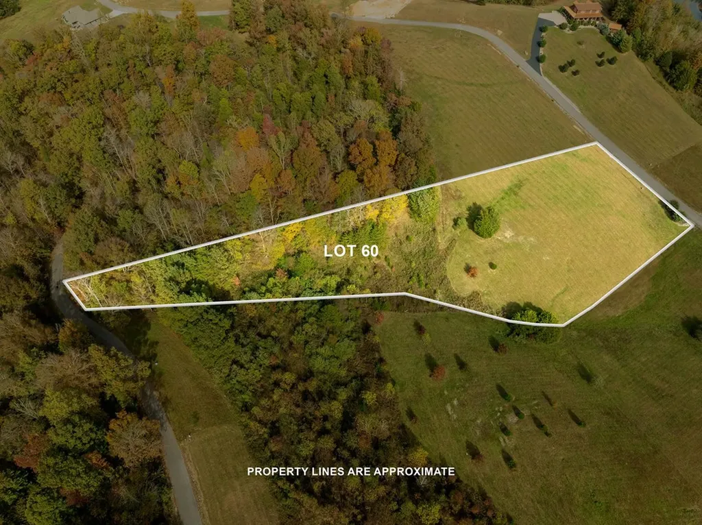 Lot 60 Holly Bend Drive Byrdstown TN 38549