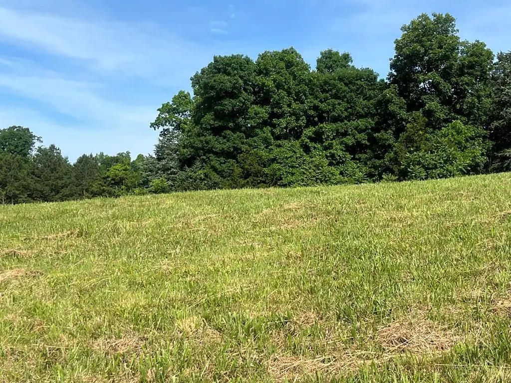 Lot 60 Holly Bend Drive Byrdstown TN 38549