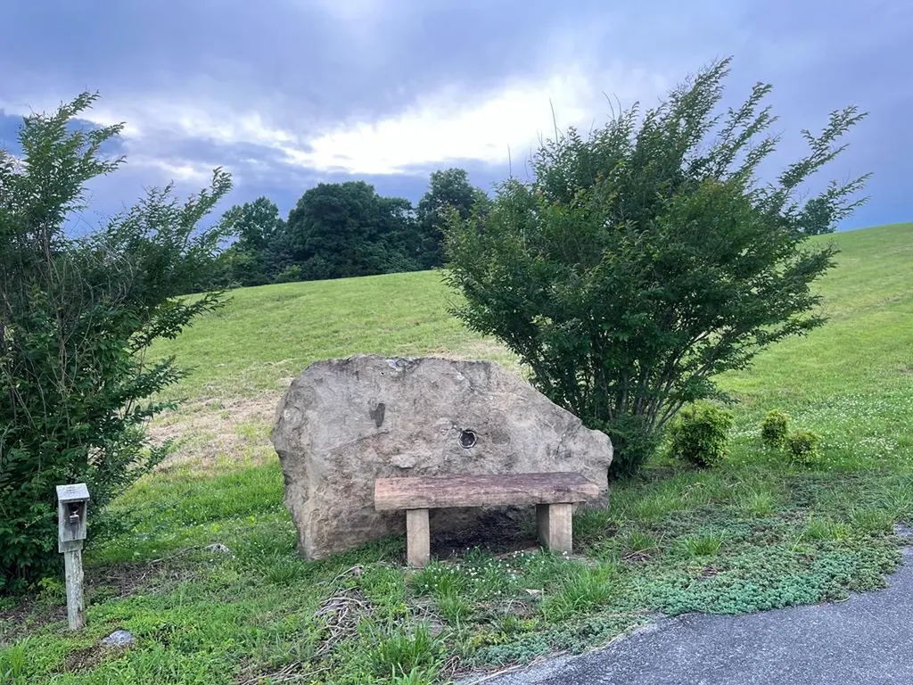 Lot 60 Holly Bend Drive Byrdstown TN 38549