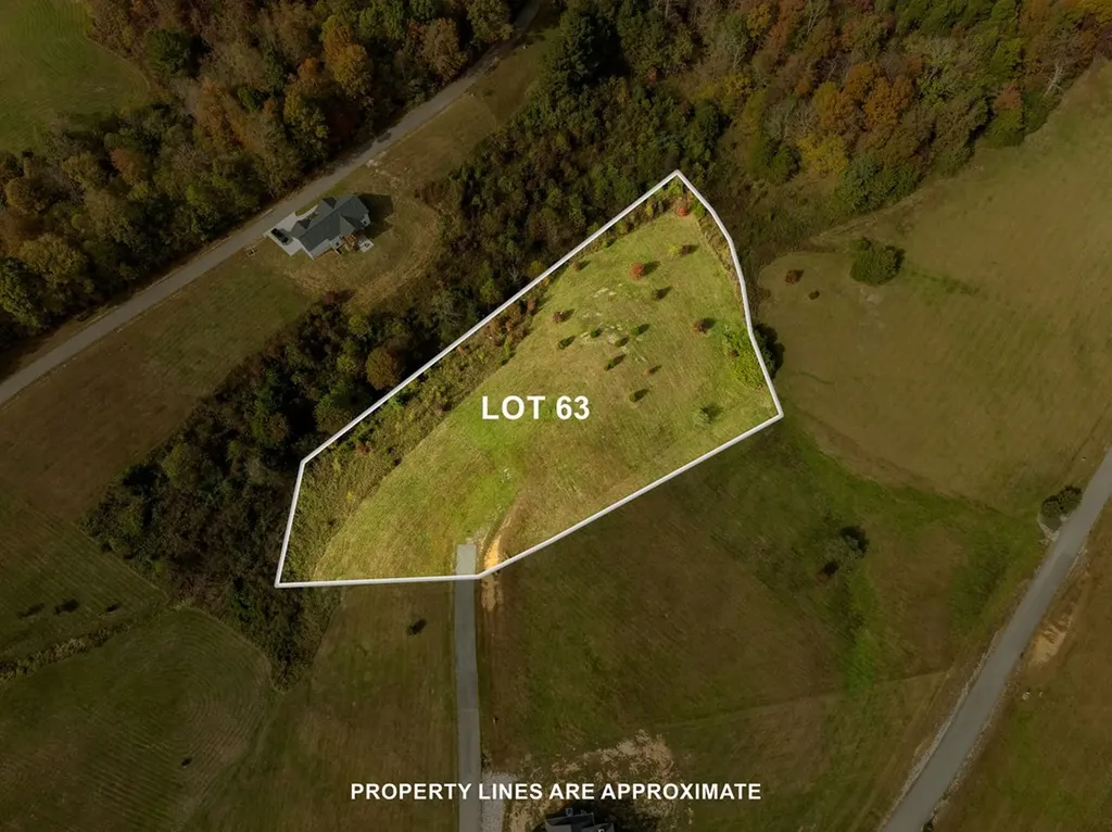 Lot 63 Meadowlark Drive Byrdstown TN 38549