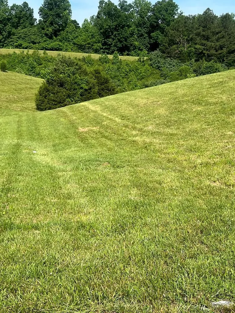 Lot 63 Meadowlark Drive Byrdstown TN 38549