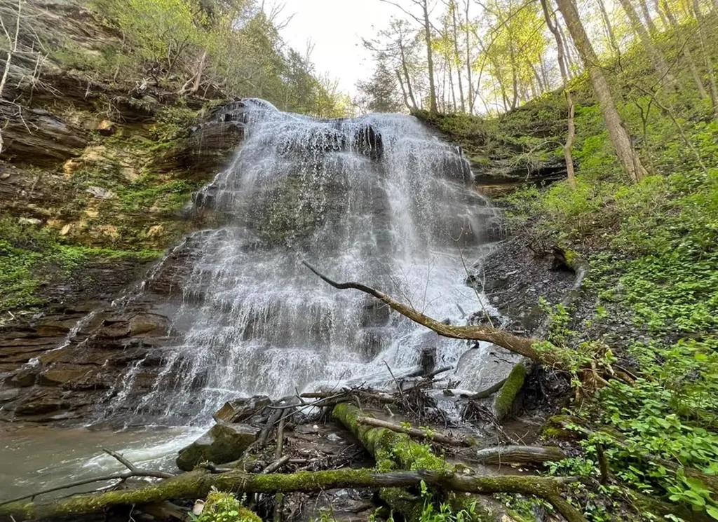 Lot 80 Holly Bend Drive Byrdstown TN 38549