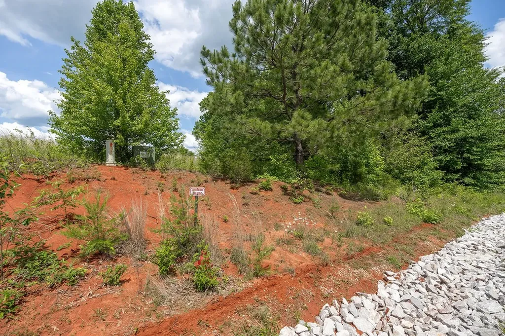 00 Deer View Drive Sparta TN 38583