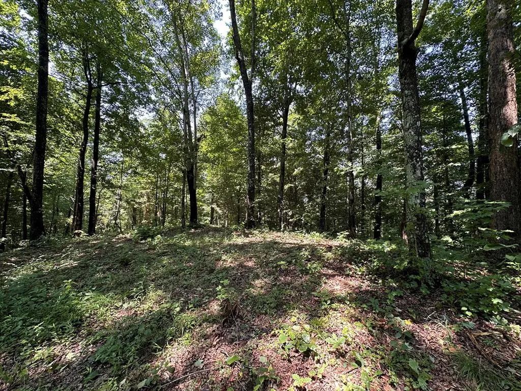 12.55AC Winningham Road Byrdstown TN 38549