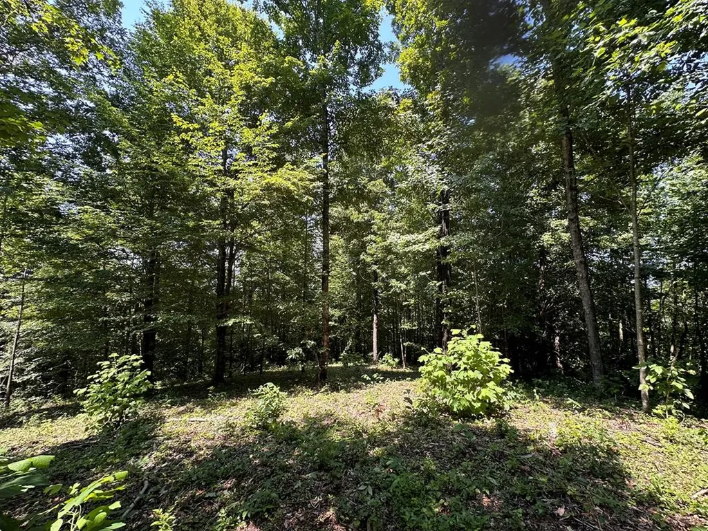 12.55AC Winningham Road Byrdstown TN 38549