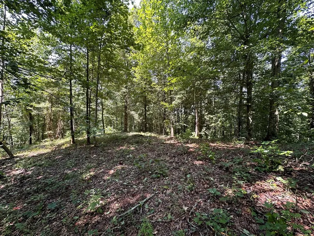12.55AC Winningham Road Byrdstown TN 38549