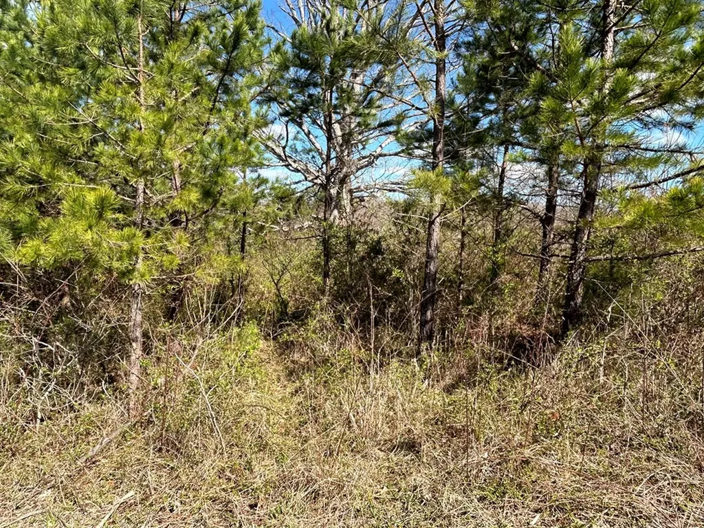N/a Holt Spur Road Jamestown TN 38556