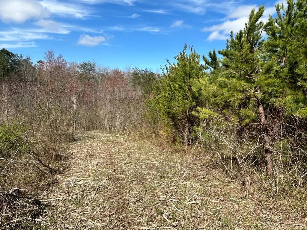 N/a Holt Spur Road Jamestown TN 38556