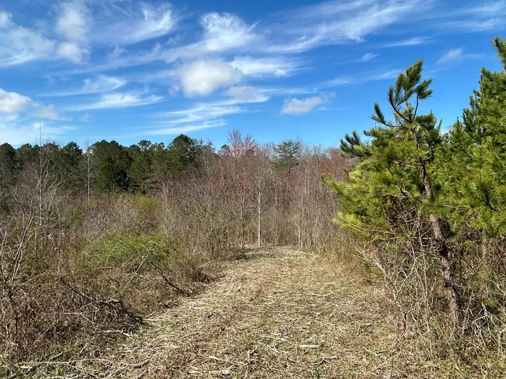 N/a Holt Spur Road Jamestown TN 38556