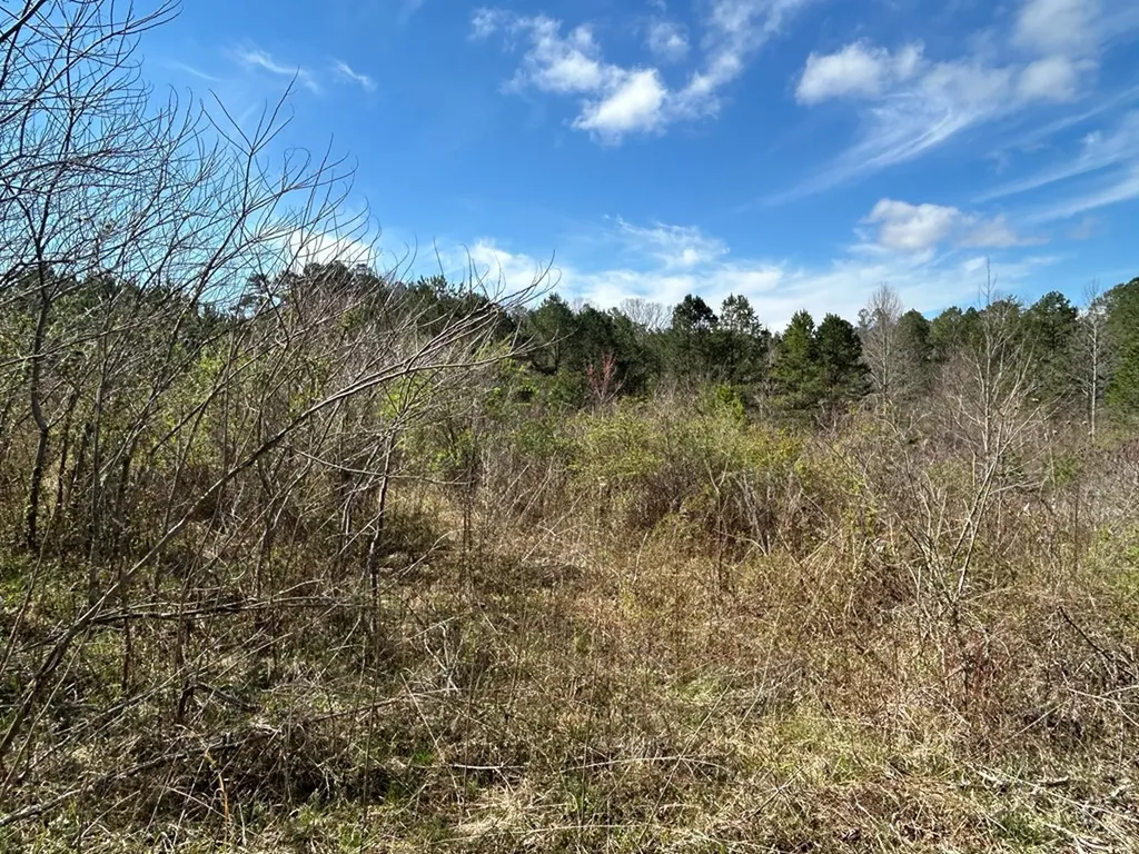 N/a Holt Spur Road Jamestown TN 38556