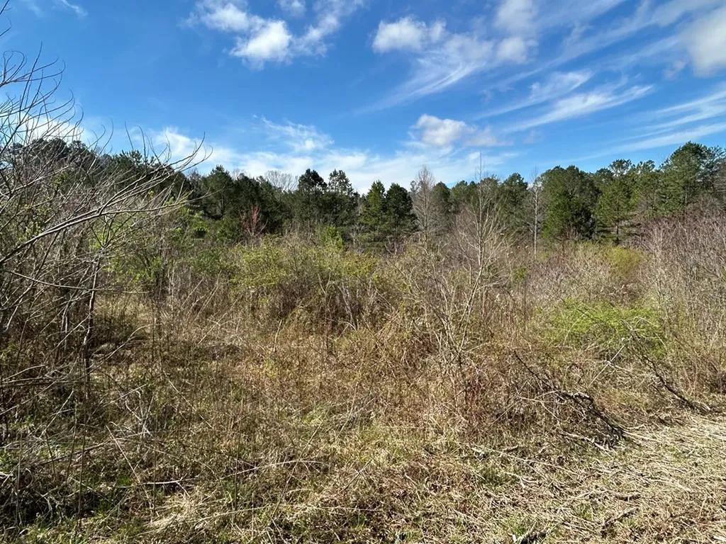 N/a Holt Spur Road Jamestown TN 38556