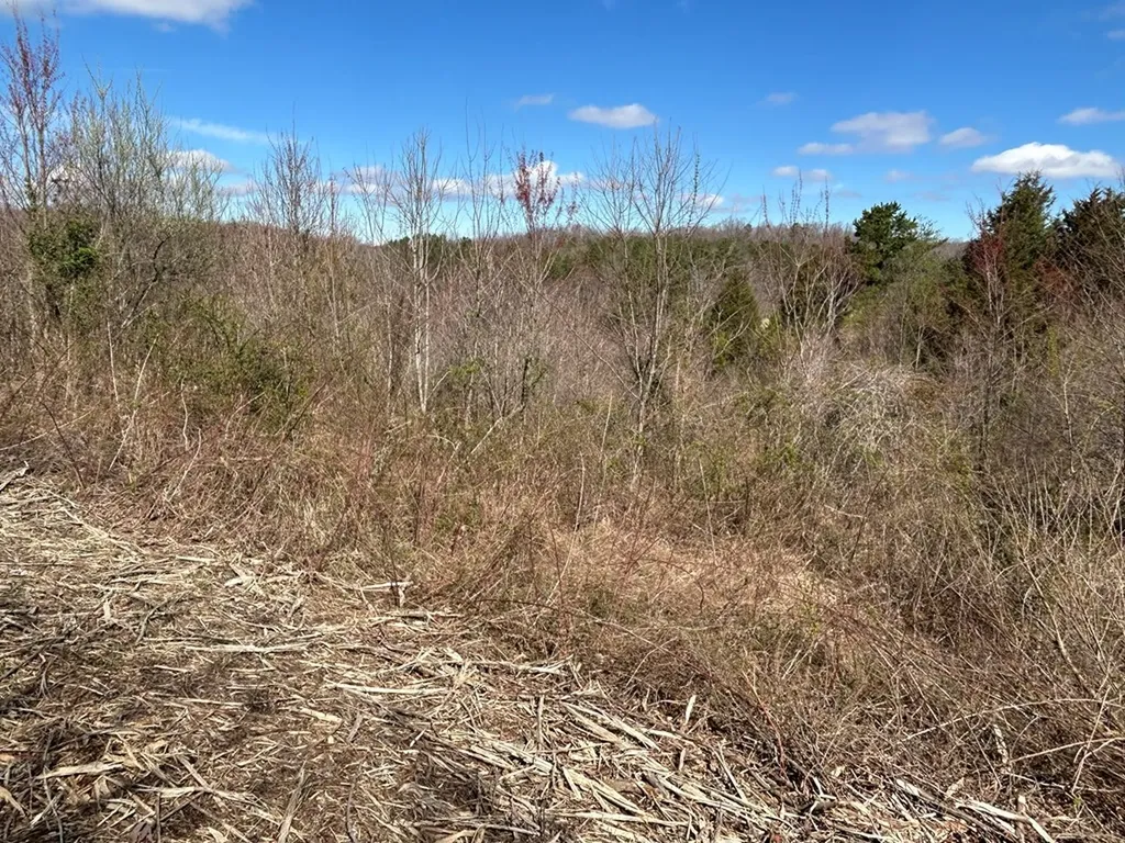 N/a Holt Spur Road Jamestown TN 38556