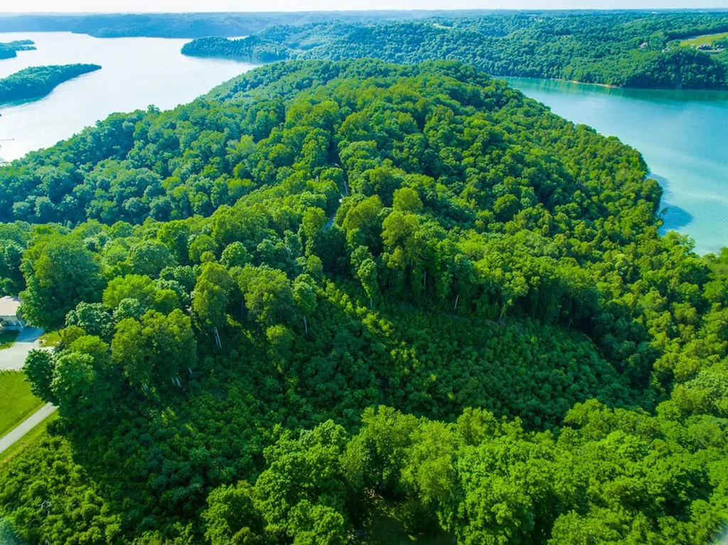 Lots 1-3 Falcon Drive Byrdstown TN 38549