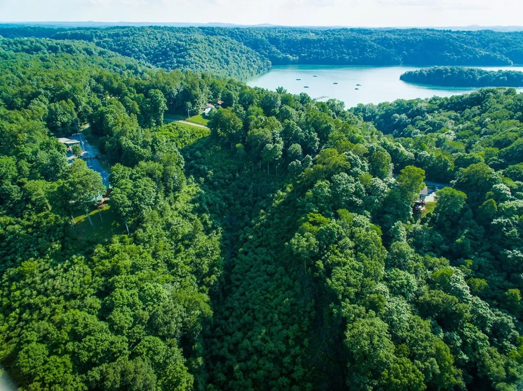 Lots 1-3 Falcon Drive Byrdstown TN 38549