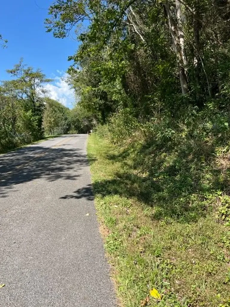 0 Wet Mill Creek Road Celina TN 38551
