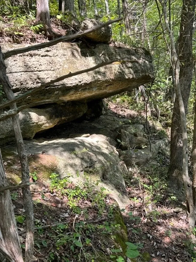 0 Wet Mill Creek Road Celina TN 38551