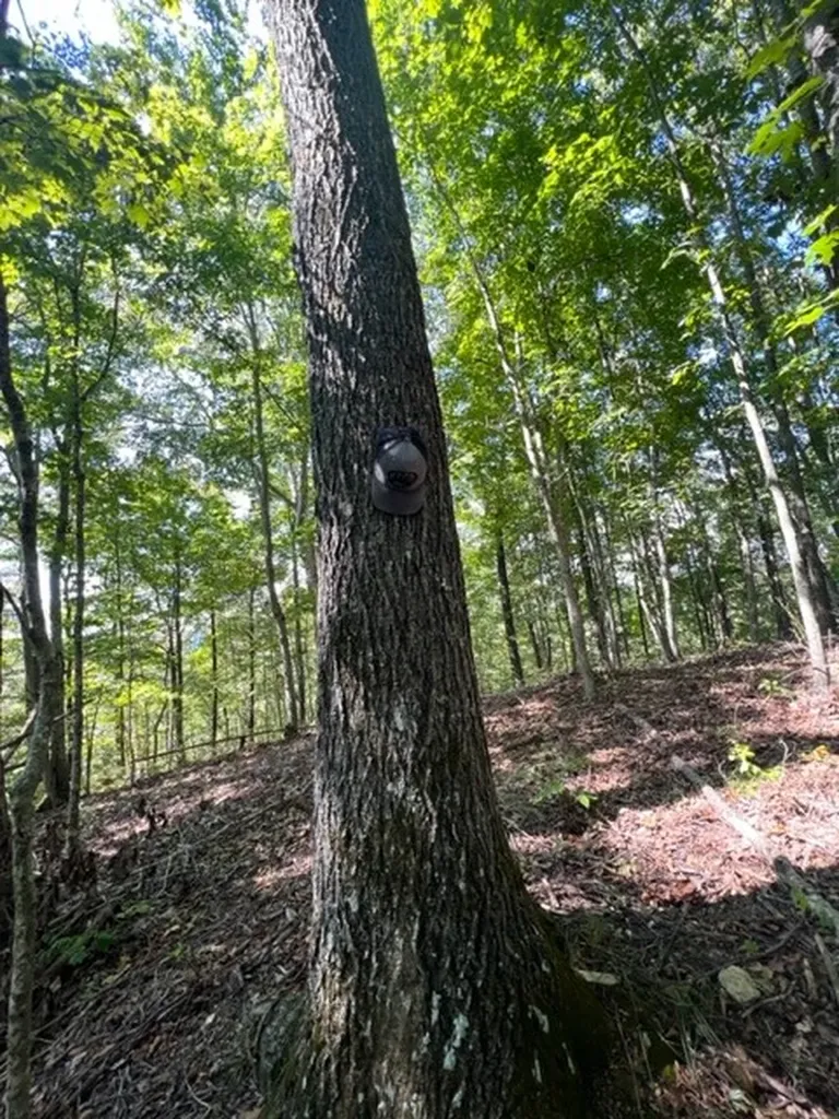 0 Wet Mill Creek Road Celina TN 38551