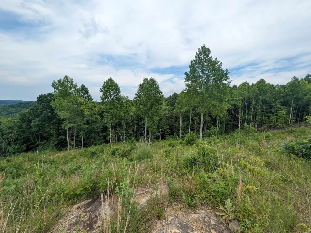 0 Stoney Point Road Byrdstown TN 38549