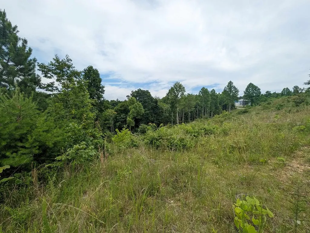 0 Stoney Point Road Byrdstown TN 38549