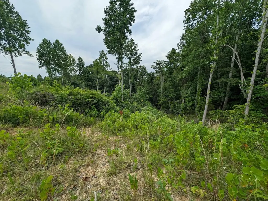 0 Stoney Point Road Byrdstown TN 38549