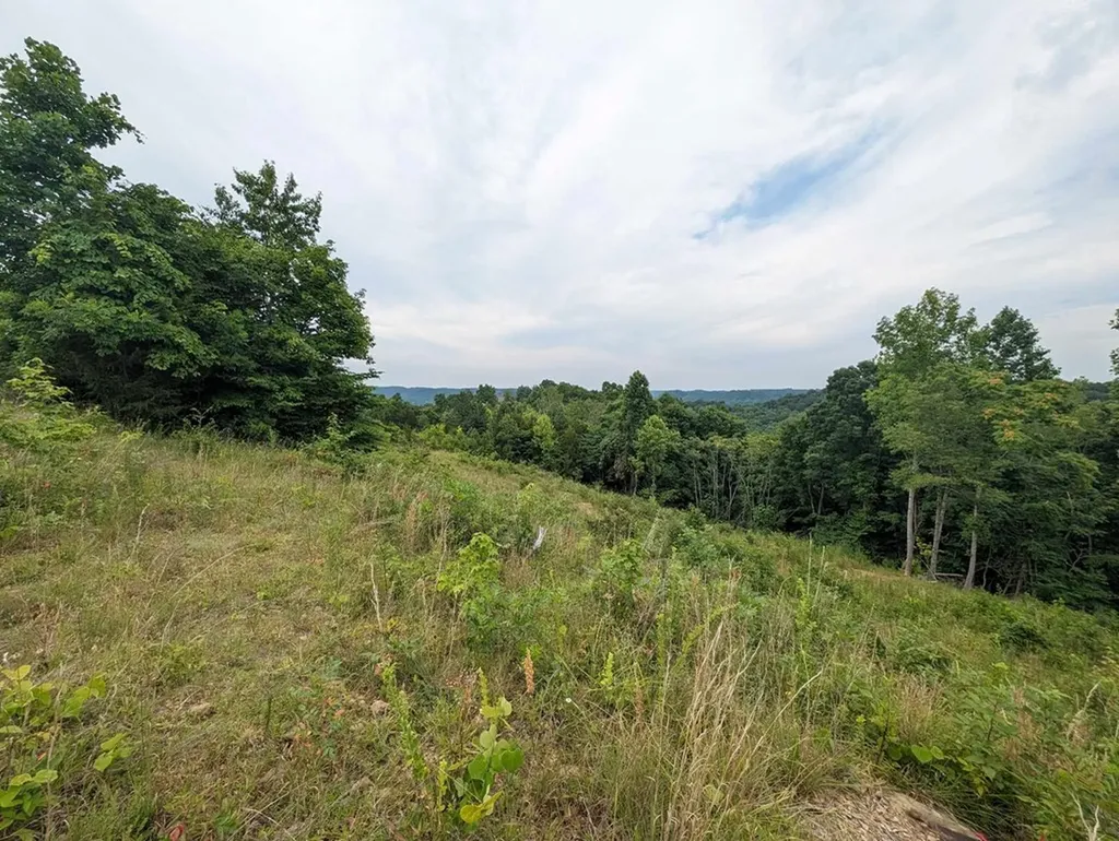 0 Stoney Point Road Byrdstown TN 38549