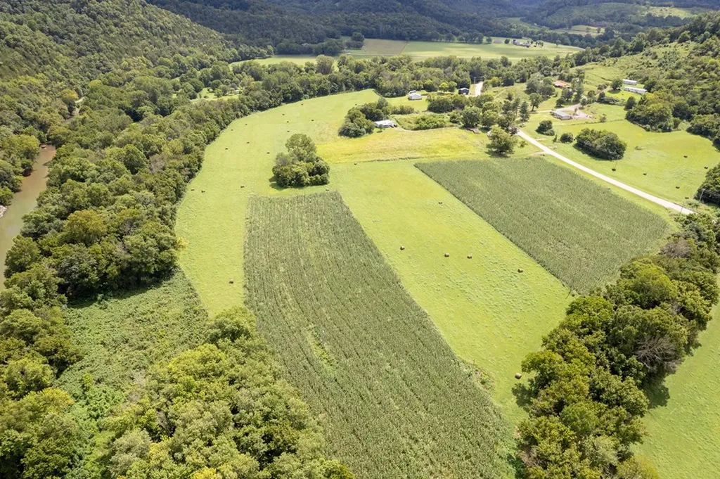 12493 Dodson Branch Highway Gainesboro TN 38562