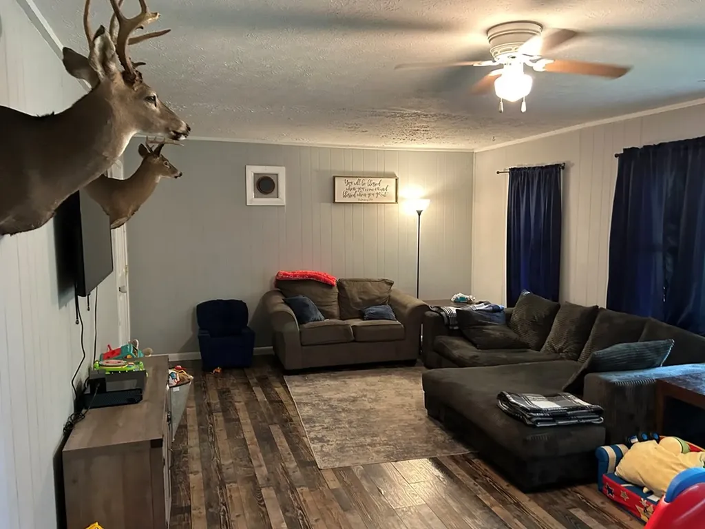 2120 Meadowview Drive Jamestown TN 38556