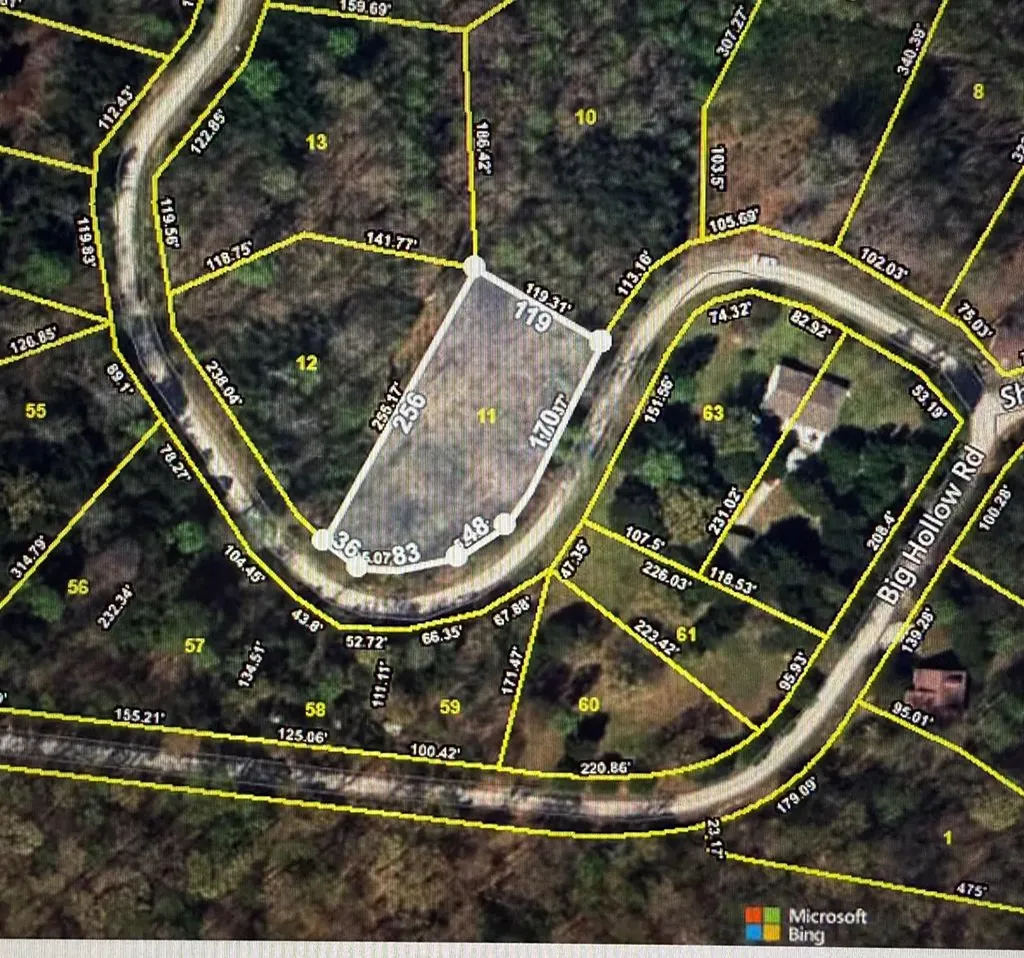 Lot 11 Big Hollow Road Monroe TN 38573