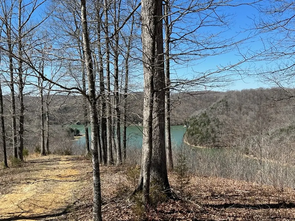 Lot #9 Obey River Shores Byrdstown TN 38549