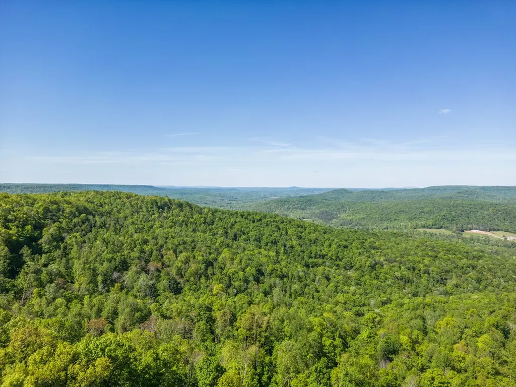1120 Eastridge Pass Monterey TN 38574