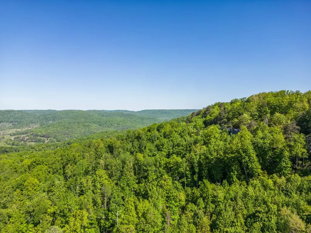 1120 Eastridge Pass Monterey TN 38574