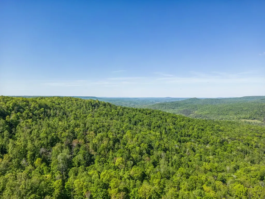 1120 Eastridge Pass Monterey TN 38574