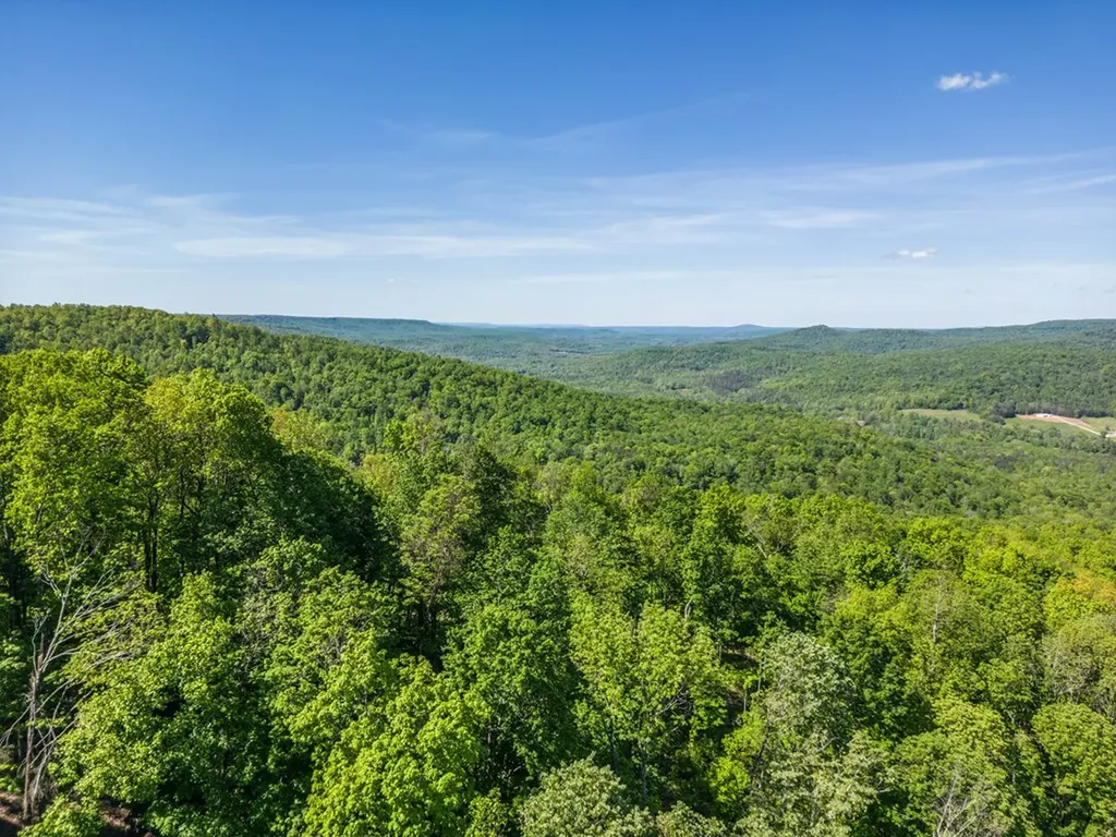 1120 Eastridge Pass Monterey TN 38574