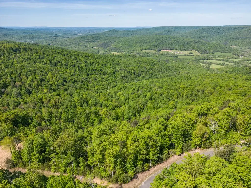 1120 Eastridge Pass Monterey TN 38574