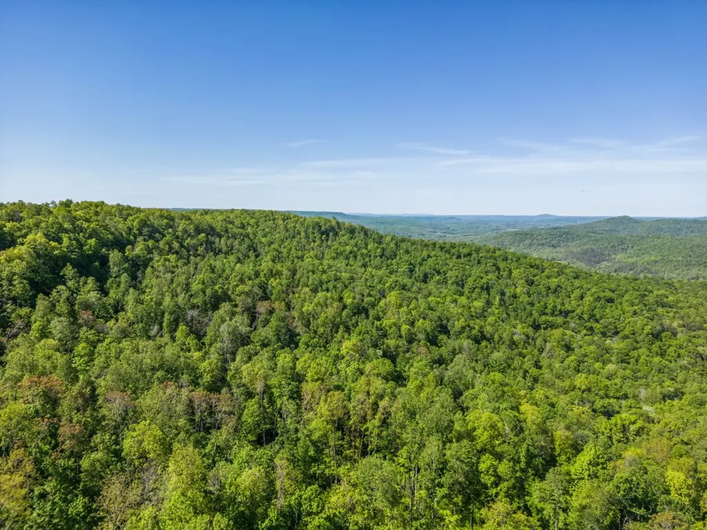 1120 Eastridge Pass Monterey TN 38574